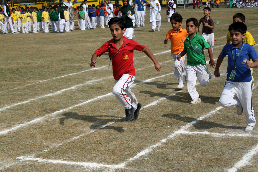 Sports